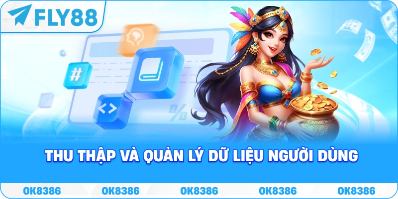 Thu thập và quản lý dữ liệu người dùng tại FLY88